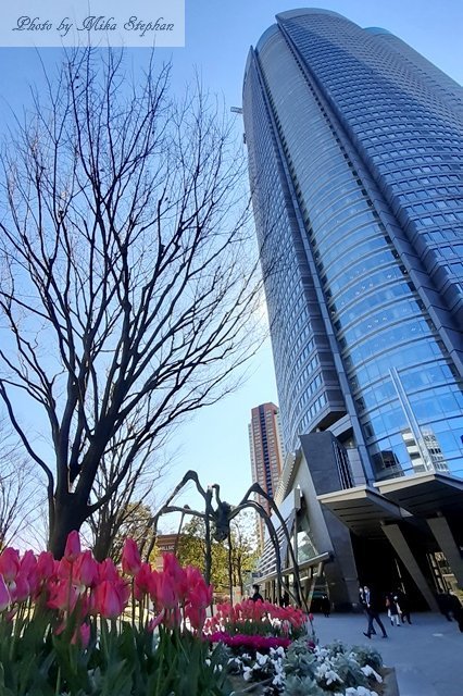 20200228_113255.jpg